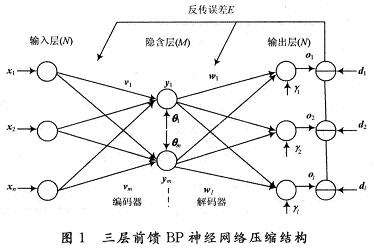 三層BP神經(jīng)網(wǎng)絡(luò)結(jié)構(gòu)