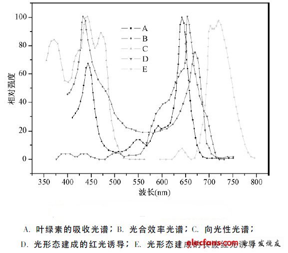 圖1 五個(gè)主要的植物光生化反應(yīng)作用光譜