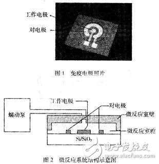 基于免疫微傳感器的微流體系統(tǒng)