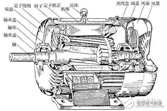 異步電動機(jī)的工作原理與結(jié)構(gòu)