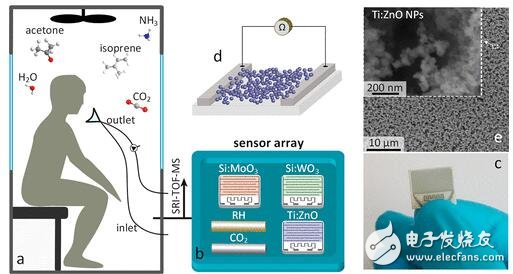 經(jīng)濟(jì)型輕量級(jí)氣體傳感器可在最短時(shí)間嗅出災(zāi)難幸存者