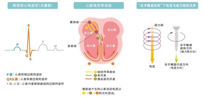 MR生物磁性傳感器的特點(diǎn)以及各種應(yīng)用解析