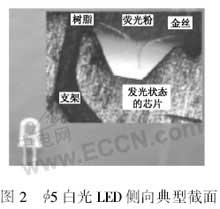 φ5白光LED側(cè)向典型截面